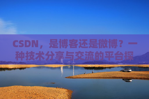 CSDN，是博客还是微博？一种技术分享与交流的平台探讨